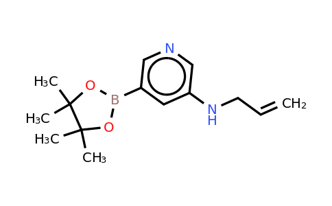 N-allyl-5-(4,4,5,5-tetramethyl-1,3,2-dioxaborolan-2-YL)pyridin-3-amine