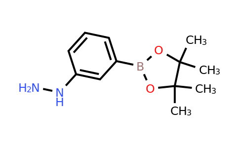(3-(4,4,5,5-Tetramethyl-1,3,2-dioxaborolan-2-YL)phenyl)hydrazine