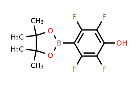 2,3,5,6-Tetrafluoro-4-(4,4,5,5-tetramethyl-1,3,2-dioxaborolan-2-YL)phenol