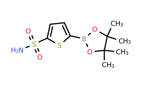 5-(4,4,5,5-Tetramethyl-1,3,2-dioxaborolan-2-YL)-2-thiophenesulfonamide
