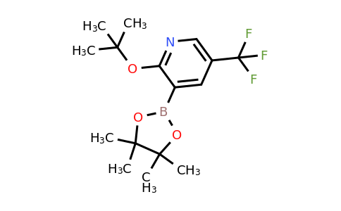 2-(Tert-butoxy)-3-(4,4,5,5-tetramethyl-1,3,2-dioxaborolan-2-YL)-5-(trifluoromethyl)pyridine