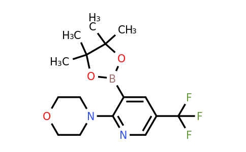 4-(3-(4,4,5,5-Tetramethyl-1,3,2-dioxaborolan-2-YL)-5-(trifluoromethyl)pyridin-2-YL)morpholine