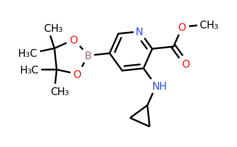 Methyl 3-(cyclopropylamino)-5-(4,4,5,5-tetramethyl-1,3,2-dioxaborolan-2-YL)picolinate