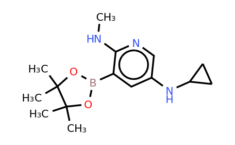 N5-cyclopropyl-N2-methyl-3-(4,4,5,5-tetramethyl-1,3,2-dioxaborolan-2-YL)pyridine-2,5-diamine