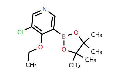 3-Chloro-4-ethoxy-5-(4,4,5,5-tetramethyl-1,3,2-dioxaborolan-2-YL)pyridine