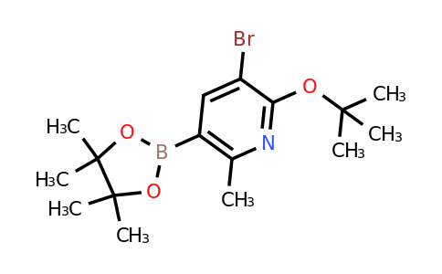 3-Bromo-2-tert-butoxy-6-methyl-5-(4,4,5,5-tetramethyl-1,3,2-dioxaborolan-2-YL)pyridine