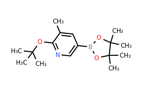 2-Tert-butoxy-3-methyl-5-(4,4,5,5-tetramethyl-1,3,2-dioxaborolan-2-YL)pyridine
