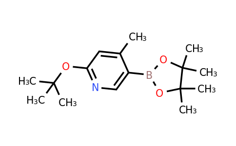 2-(Tert-butoxy)-4-methyl-5-(4,4,5,5-tetramethyl-1,3,2-dioxaborolan-2-YL)pyridine