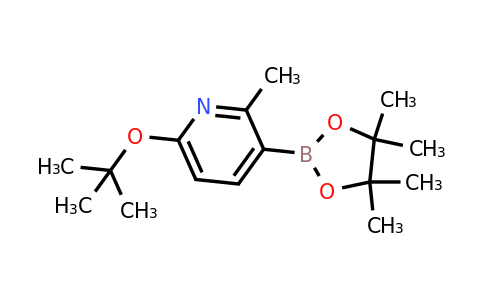 6-(Tert-butoxy)-2-methyl-3-(4,4,5,5-tetramethyl-1,3,2-dioxaborolan-2-YL)pyridine
