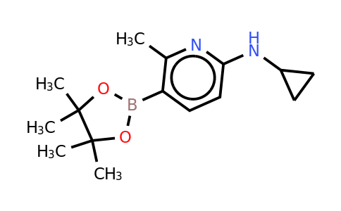 N-cyclopropyl-6-methyl-5-(4,4,5,5-tetramethyl-1,3,2-dioxaborolan-2-YL)pyridin-2-amine