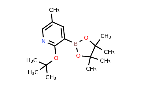 2-(Tert-butoxy)-5-methyl-3-(4,4,5,5-tetramethyl-1,3,2-dioxaborolan-2-YL)pyridine