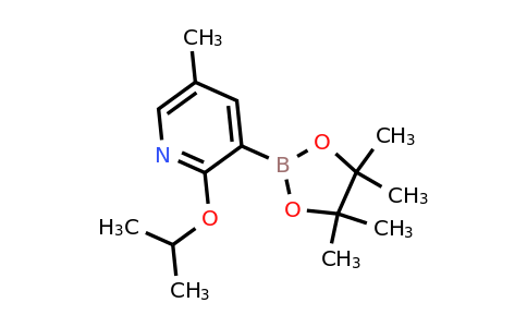 2-Isopropoxy-5-methyl-3-(4,4,5,5-tetramethyl-1,3,2-dioxaborolan-2-YL)pyridine