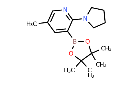 5-Methyl-2-(pyrrolidin-1-YL)-3-(4,4,5,5-tetramethyl-1,3,2-dioxaborolan-2-YL)pyridine