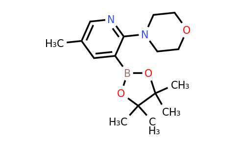 4-(5-Methyl-3-(4,4,5,5-tetramethyl-1,3,2-dioxaborolan-2-YL)pyridin-2-YL)morpholine