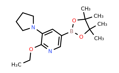 2-Ethoxy-3-(pyrrolidin-1-YL)-5-(4,4,5,5-tetramethyl-1,3,2-dioxaborolan-2-YL)pyridine