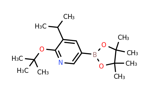 2-Tert-butoxy-3-isopropyl-5-(4,4,5,5-tetramethyl-1,3,2-dioxaborolan-2-YL)pyridine