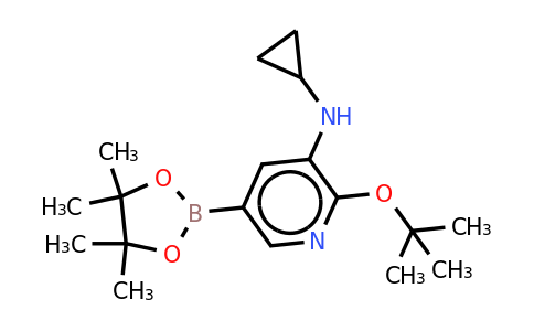 2-Tert-butoxy-N-cyclopropyl-5-(4,4,5,5-tetramethyl-1,3,2-dioxaborolan-2-YL)pyridin-3-amine