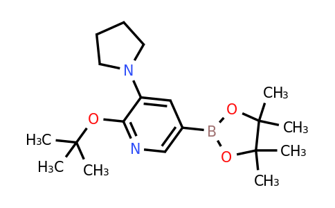2-Tert-butoxy-3-(pyrrolidin-1-YL)-5-(4,4,5,5-tetramethyl-1,3,2-dioxaborolan-2-YL)pyridine