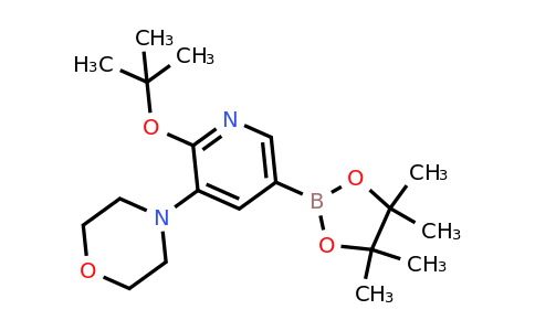 4-(2-Tert-butoxy-5-(4,4,5,5-tetramethyl-1,3,2-dioxaborolan-2-YL)pyridin-3-YL)morpholine