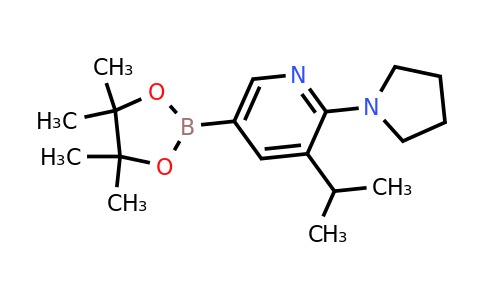 3-Isopropyl-2-(pyrrolidin-1-YL)-5-(4,4,5,5-tetramethyl-1,3,2-dioxaborolan-2-YL)pyridine