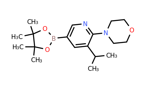 4-(3-Isopropyl-5-(4,4,5,5-tetramethyl-1,3,2-dioxaborolan-2-YL)pyridin-2-YL)morpholine
