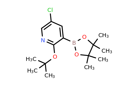 2-(Tert-butoxy)-5-chloro-3-(4,4,5,5-tetramethyl-1,3,2-dioxaborolan-2-YL)pyridine