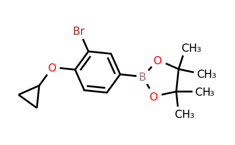 2-(3-Bromo-4-cyclopropoxyphenyl)-4,4,5,5-tetramethyl-1,3,2-dioxaborolane