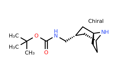 tert-butyl N-[(1R,3R,5S)-8-azabicyclo[3.2.1]octan-3-
ylmethyl]carbamate