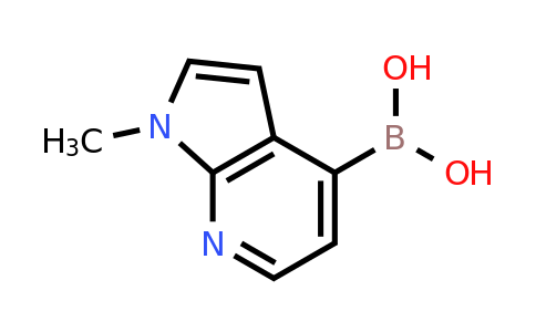 1-Methyl-7-azaindole-4-boronic acid